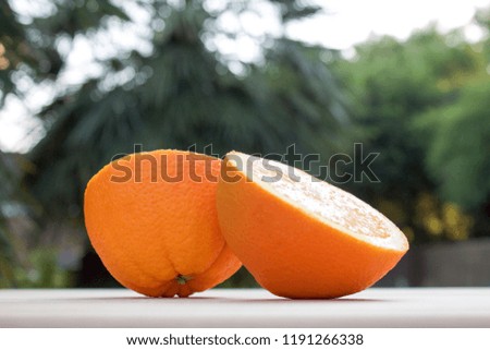 Orange Cut in Half on Wood Board with Trees Background