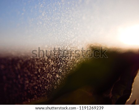 Water droplets on window