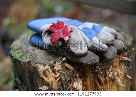 Working Gloves Fall Wood leafs
