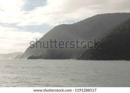 Shots taken along Milford Sound in New Zealand, South Island. 