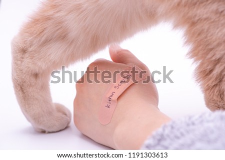 Kitten scratch. A band aid on hand.
