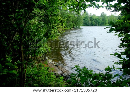 River Daugava near the town of Staburags, Sunny Day, big wind.Latvia