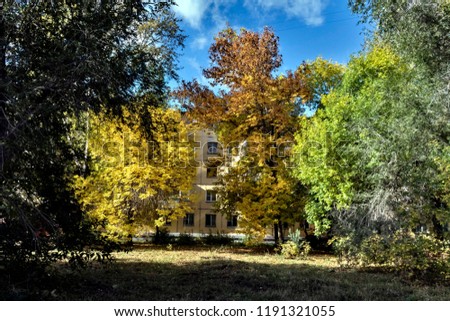 beautiful colorful autumn trees