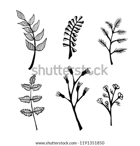 Floral vector in the white background with hand drawn.