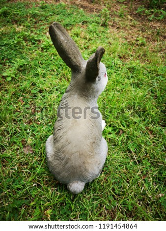 Gray rabbit in a garden on grass. 