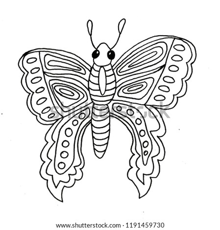 Hand drawn butterfly illustration