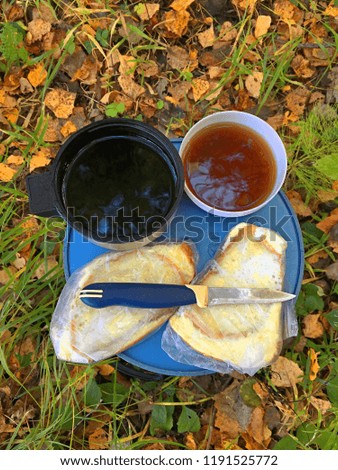 picnic on leaves in the forest in autumn