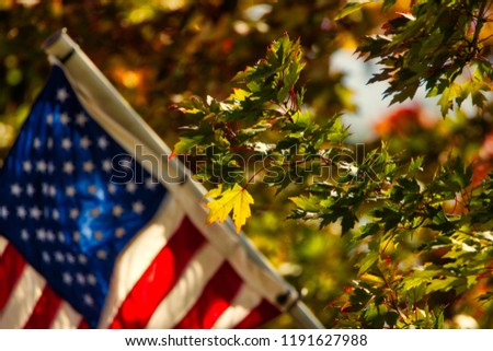 Changing fall maple leaves in front of a red white and blue American flag. Royalty-Free Stock Photo #1191627988
