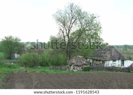 Spring in the Ukrainian Village, Poltava region, Ukraine