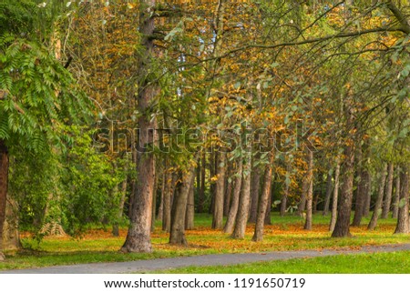 Golden Polish autumn. Autumn colors. Cracow. Poland