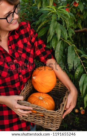 Young woman in a red shirt is holding a basket with orange pumpkins. Woman farmer in the garden at sunset. Harvest.