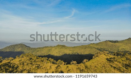 Beautiful morning scene in the forest with sun rays and long shadows, Panoramic image of morning forest with fantastic sun beams.