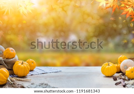 Thanksgiving with fruit and vegetable on wood in autumn and Fall harvest cornucopia season