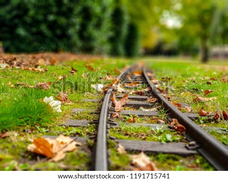 Train rails in park
