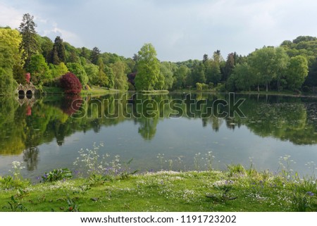 Scenic View of a Calm Lake and Grass Shore with a Green Leafy Forest Beyond