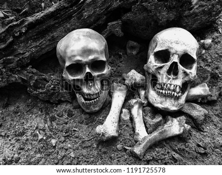 The bone pieces with human skull and teeth. The lined on the black background wood charter for Halloween or fear ,black and white tone