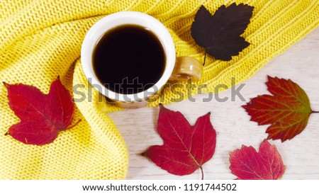 A Cup of coffee and colorful autumn leaves on a yellow background.