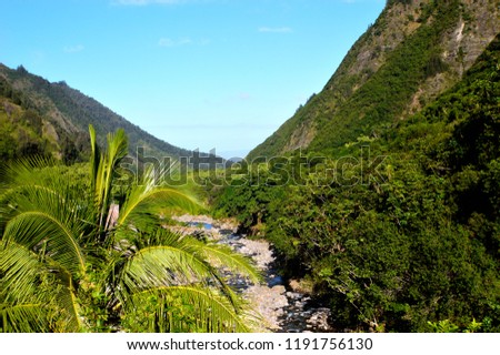 A picture of the beautiful lush rain forests of Maui.