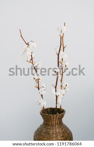 branches of cotton in a brown wicker vase on a background of a gray-blue wall
