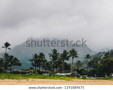 Tropical fields and mountains on rainy day in Hanalei, Kauai, Hawaii