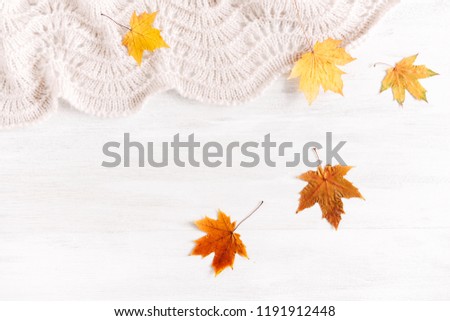 Autumn composition. Light coloured knitted woolen plaid and dry yellow leaves on white wooden background.  Autumn, fall, background. Flat lay, top view, copy space
