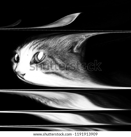 Glitch art, LED analog TV test, texture screen, paranormal background, cat