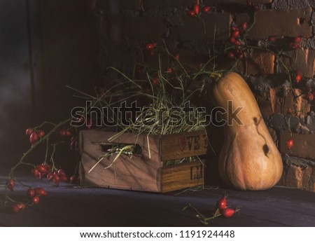 Pumpkin, a wooden box and thorn branches of a dogrose in a dark basement. Halloween Mood. Mystical picture