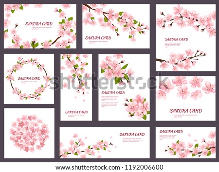 Sakura vector blossom cherry greeting cards with spring pink blooming flowers illustration japanese set of wedding invitation flowering template decoration isolated on white background Royalty-Free Stock Photo #1192006600