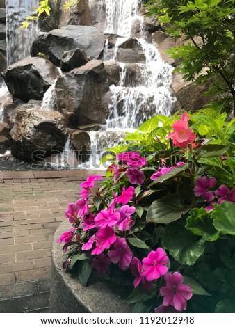 Pink Flowers with waterfall background