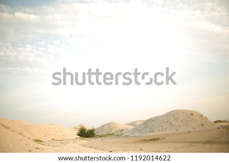 scenery of desert