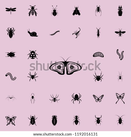 butterfly icon. insect icons universal set for web and mobile
