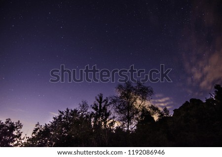 starry sky and trees with clouds in the night