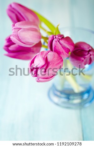 Pink Tulips. Flower background. Wooden background. Close up. Copy space.