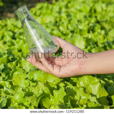 flask with soil solution in hand in the lettuce field