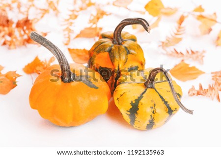 Autumn composition. Pumpkins, dried leaves on white background. Autumn, fall, halloween concept. Flat lay, top view copy space
