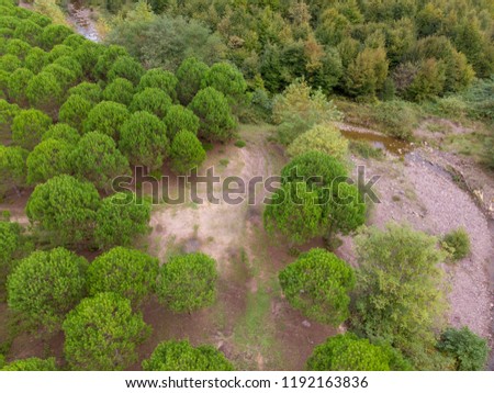 Amazing drone view trees and nature near the Darlık Dam in Sile Istanbul Turkey