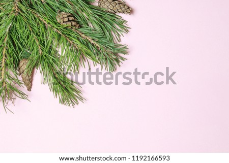 Christmas composition. Christmas frame made of conifer, fir branches decorations on green background. Flat lay, top view, copy space, square.