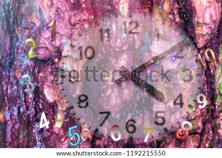 Force of time and ancient numerology