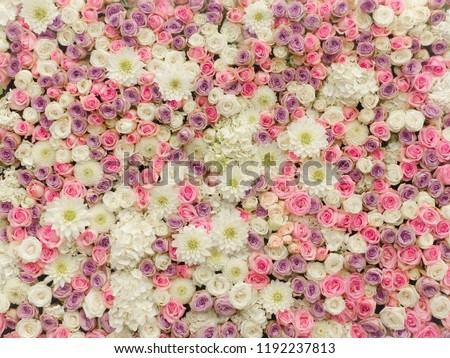 Soft Pastel Flower Wall Floral Background Roses Wallpaper, Wedding Flowers, Wedding Decor