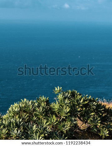 View from the cliff