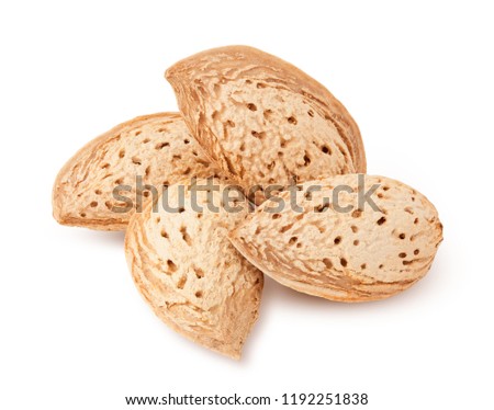 Almond nut in shell isolated on white background, clipping path, full depth of field