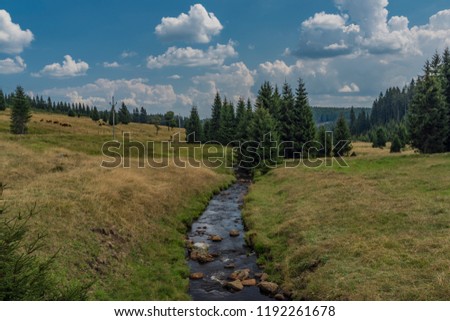 Rolava river in summer hot sunny day near Prebuz village in Krusne mountains