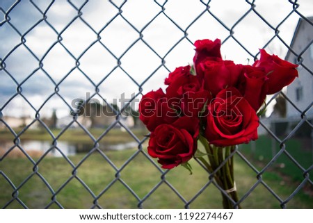 A bouquet of roses placed inside a wired fence.