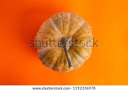 pumpkin on colorful background