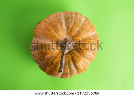 pumpkin on colorful background
