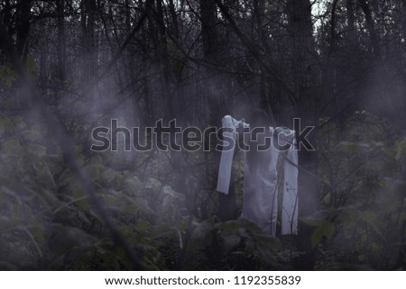 Portrait of a dead girl on Halloween in a gloomy forest. A ghost-girl in a gloomy dark forest at night on Halloween