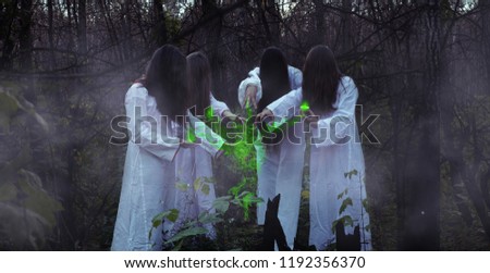Four witches for Halloween in a gloomy forest. Witches in a dark forest on Halloween with green lights.