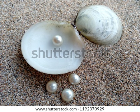 Shell with a pearl. Shells and pearls in the sand. Shell with a pearl on a beach sand. An open sea shell with a pearl inside.