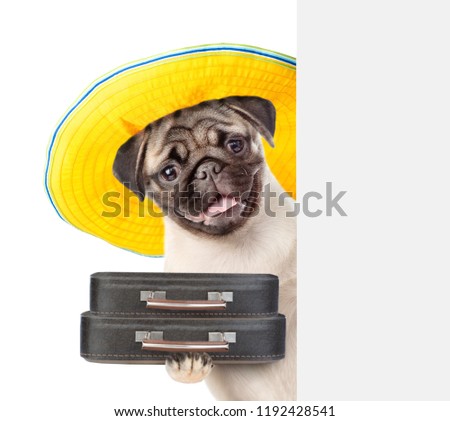 Happy puppy in summer hat holds suitcases behind white banner. isolated on white background