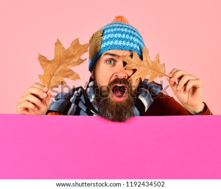 Hipster with beard and surprised face wears warm clothes. Man in warm hat holds oak tree leaves on pink background, copy space. October and November time idea. Autumn and cold weather concept